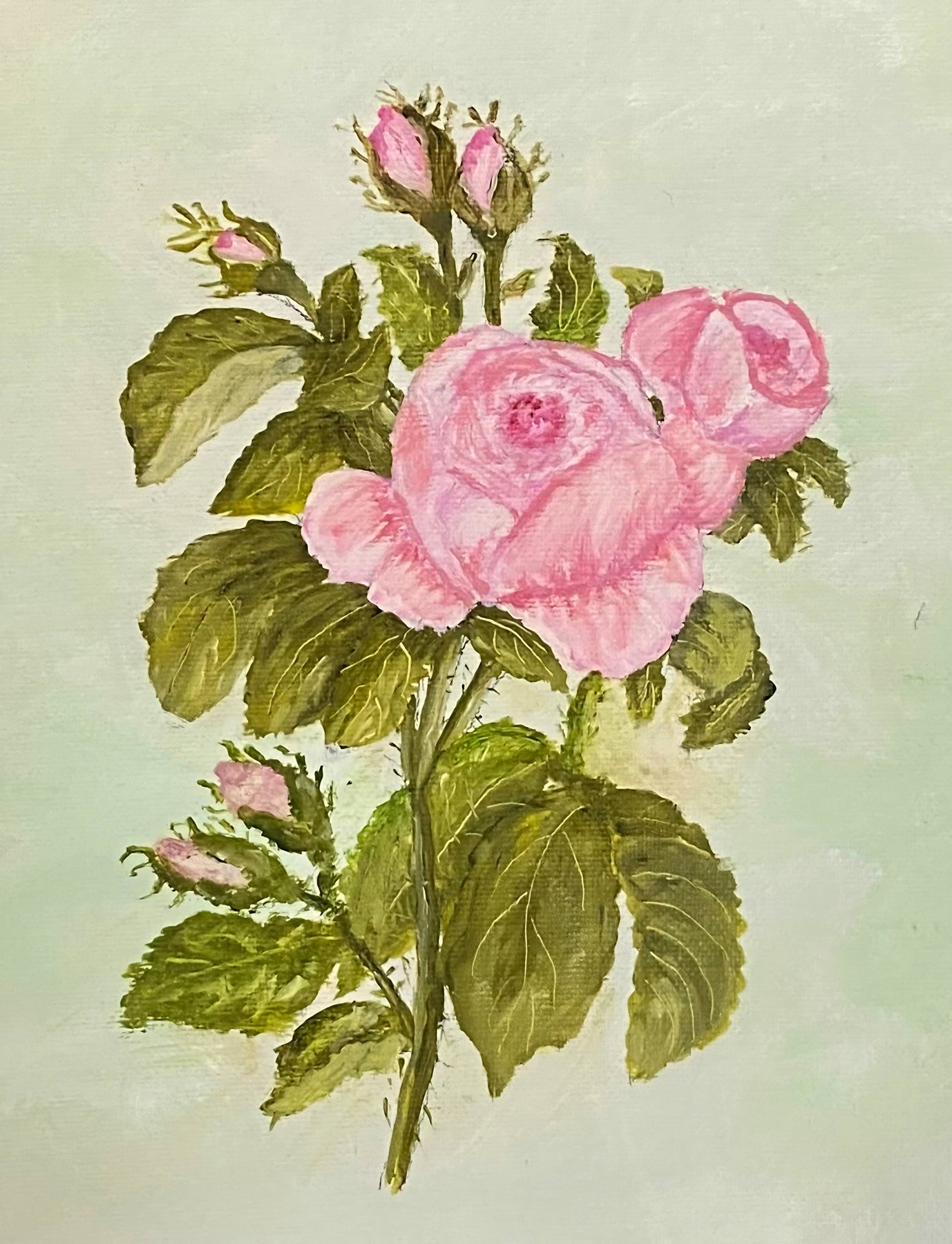 Pink roses in bloom, painting by Kentucky artist Ramona Davidson