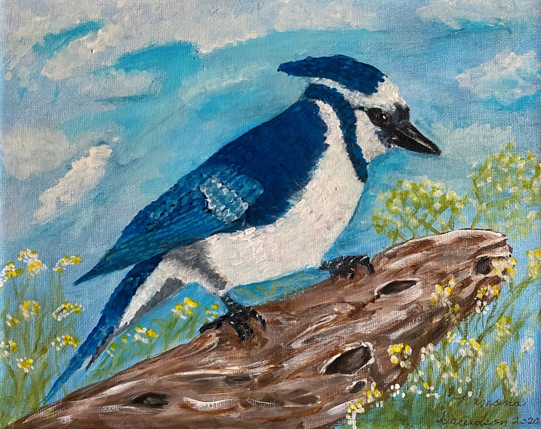 A blue jay perched on a branch, painting by Kentucky artist Ramona Davidson