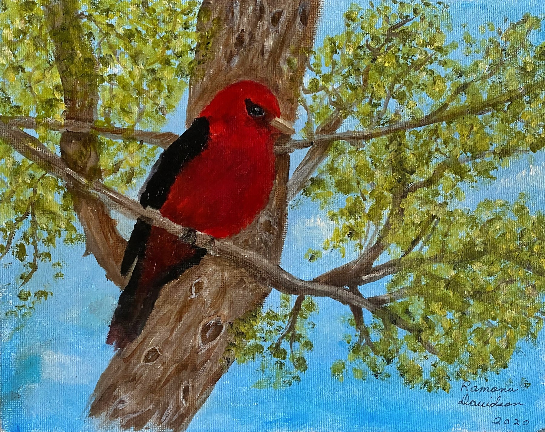 A cardinal resting among bare tree branches, painting by Kentucky artist Ramona Davidson