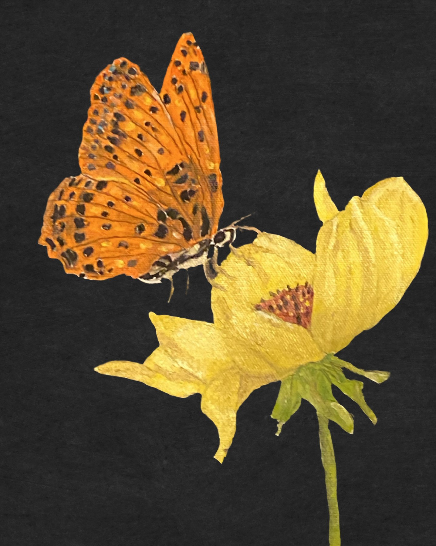 An orange butterfly resting on a yellow flower, painting by Kentucky artist Ramona Davidson